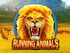 Running Animals game icon